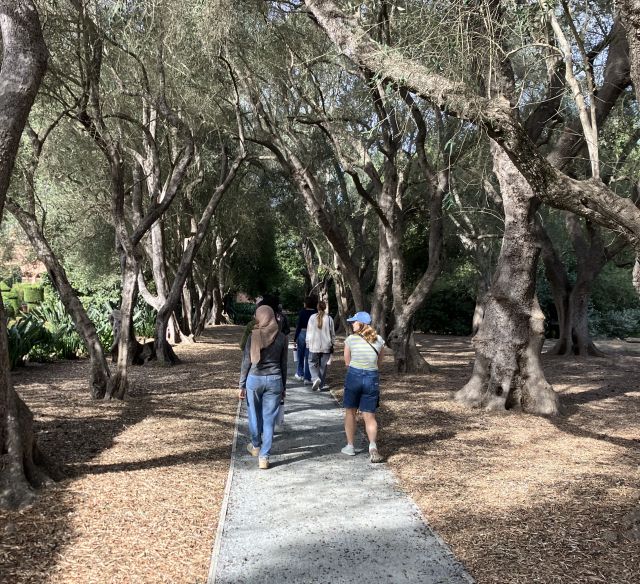 Hibah and Jesse walking in the Olive Allée