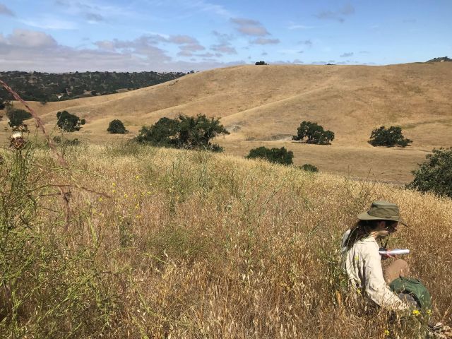 Trevor at Sedgwick 2017