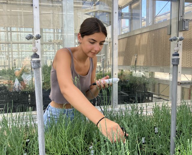 Danae measuring soil EC