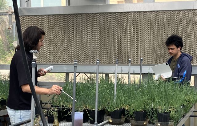 Germán and Dexter measuring soil EC