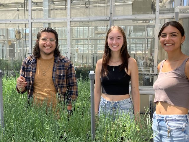 Germán, Kathryn, and Danae in the greenhouse